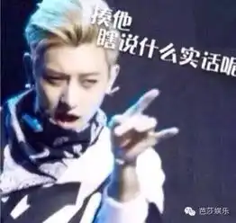 张学友认证表情包,黄子韬靠颜艺登顶民族英雄,这年头没个表情包你还好意思出来混