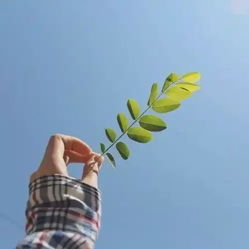 适合长期不换的头像治愈