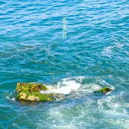 去看过这8片海的女人,据说99都找到了真爱