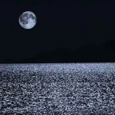 陈情丧系背景图我一直爱你不需风景静物头像我要个性网