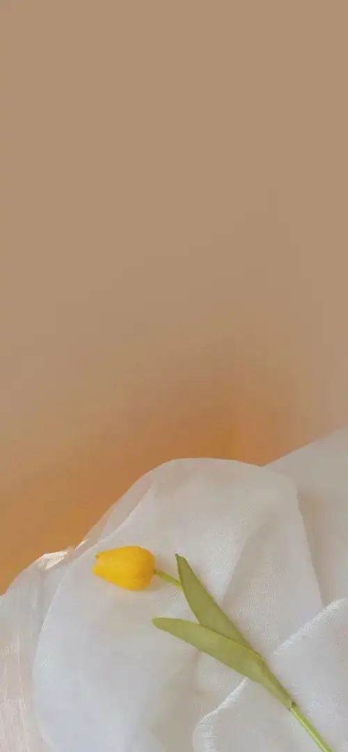 今天也要换壁纸啊