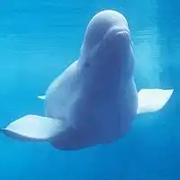 动漫背影男生头像蓝色动漫男生背影头像