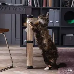 住匠说丨ikea推出宠物系列lurvig,赶紧讨好主子们吧