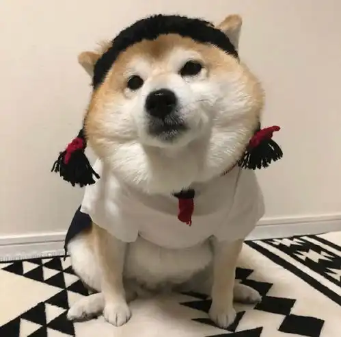 幽默搞笑个性头像,挑你喜欢的188