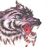 最凶猛帅的狼的动物图片头像,超级霸气