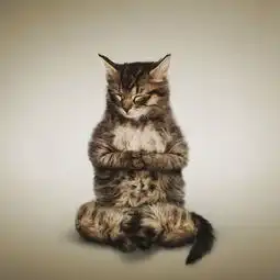 太搞笑了猫与狗的艺术体操