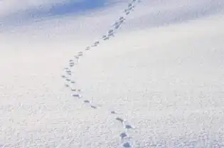 7日大雪全球气候变暖下的冷冬来了