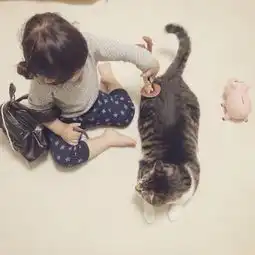 绝对治愈系照片孩子与猫咪的日常生活