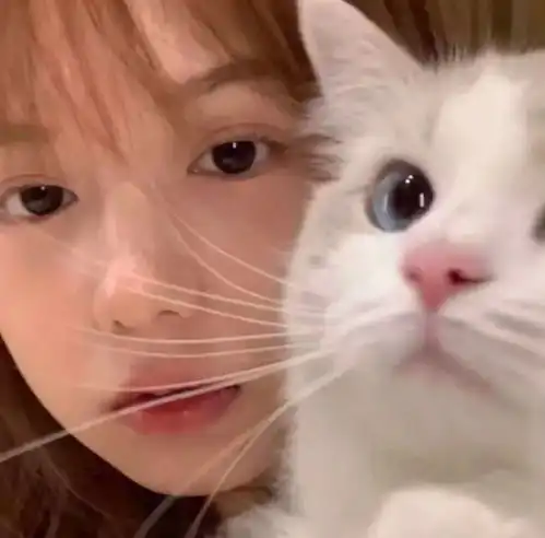 成年的崩溃文案空间说说