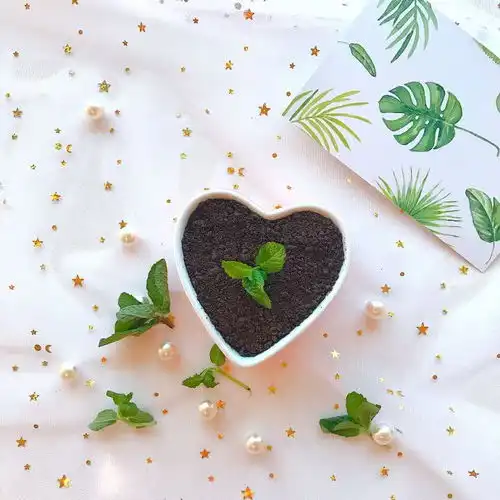 少女心的治愈系甜品小清新酸奶盆栽