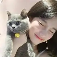 一个女孩抱着猫的头像一个女的抱着一只猫的头像