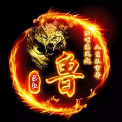 火龙与龙的姓氏头像龙与狼霸气的组合图片