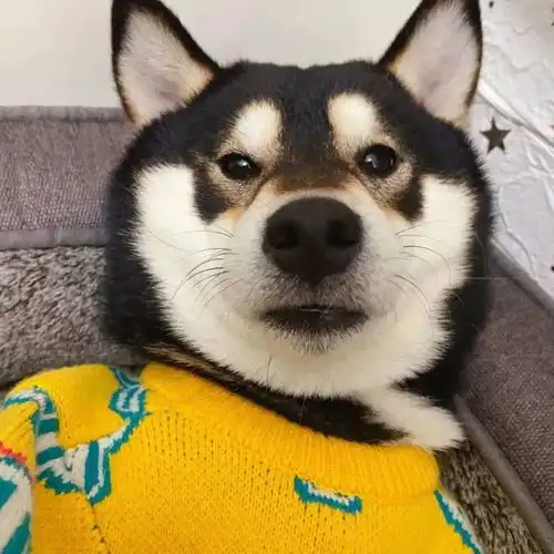 闺蜜头像丨闺蜜头像两人仙气一对腾讯新闻