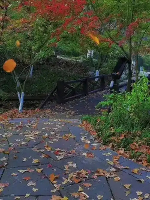 治愈系头像风景唯美知秋