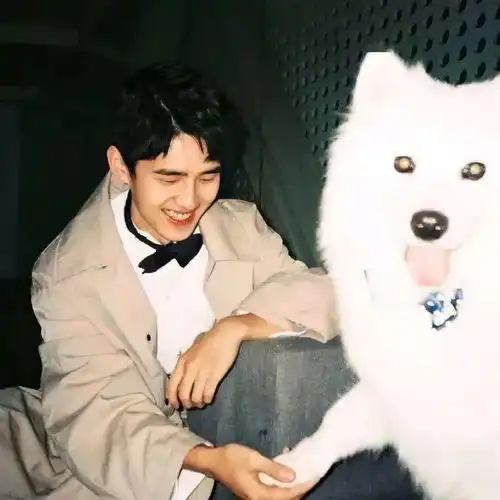 头像一些花式夸自己的沙雕文案