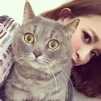 动物猫情侣头像