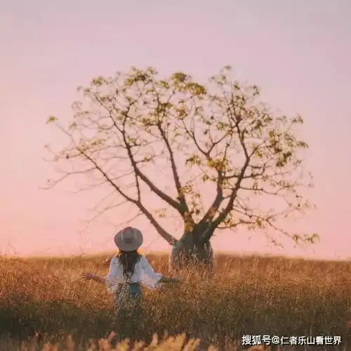 如何表达意境大师们也是有套路的,看懂了吗