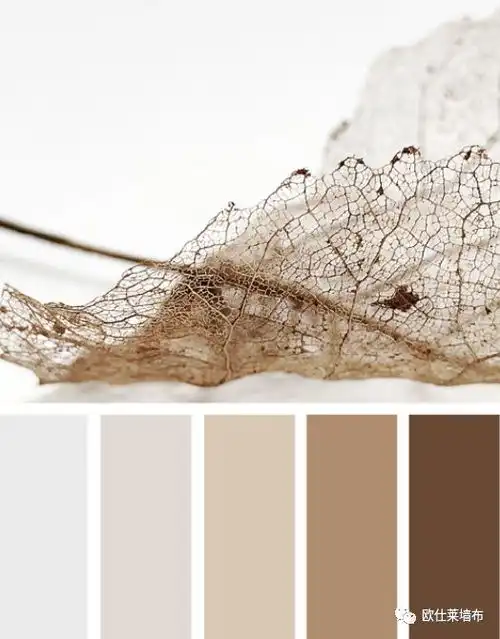 大地色系秋冬季的最佳伴侣打造高级家居