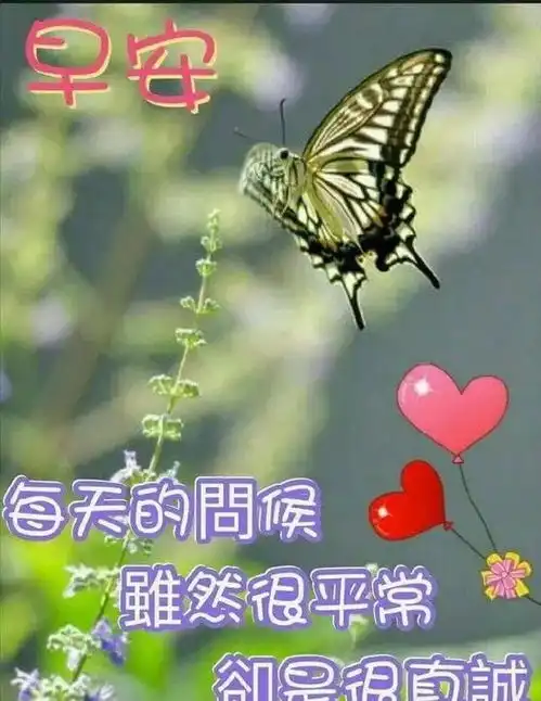 心有爱,春暖花开,心有善,美丽常在,心有德,涵载万物,早安人生