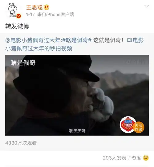 营销观察为啥是佩奇答案在抖音王思聪和朋友圈里