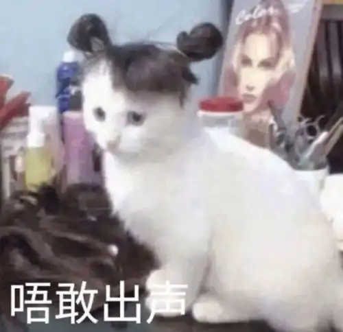 头像男卡通可爱范丞丞沙