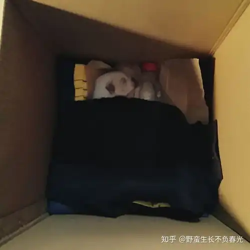 为什么现在的女生喜欢小奶狗