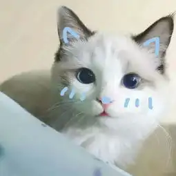 为什么女朋友那么喜欢翻旧账