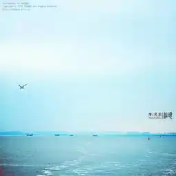 去看过这8片海的女人,据说99都找到了真爱