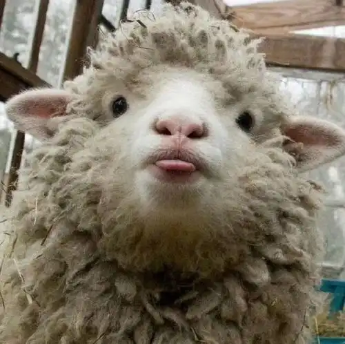 幽默笑话她生日快到了,她男友答应送她一份亮瞎眼的好礼物