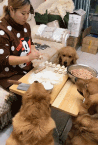 搞笑gif段子2别人都在玩手机,我还是看会书吧真是好孩子搞笑gif段子猪八戒灰狼玉帝悟空