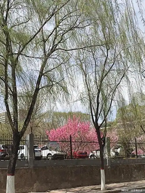 母亲听说哥哥一家驾车出游了,很有点情绪低落人老了没用了