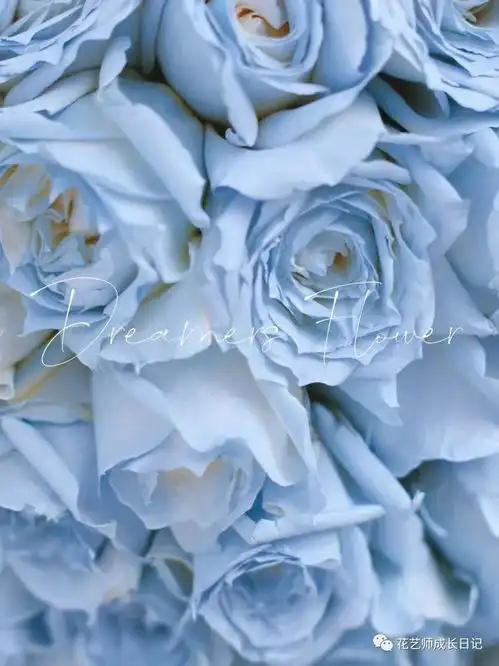 特别推荐密西根碎冰蓝,满满高级感的喷色花艺