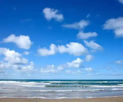 哪些微信头像,一看就是好女人