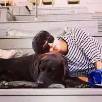 男生头像狗男生和狗狗可爱头像