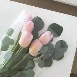 懂她,才配拥有她