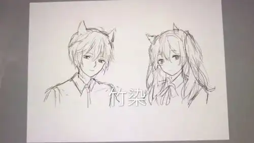 一对喵系少年少女简易小讲解.by竹染