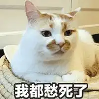 假装淡定不言不语头像微信头像图片大全