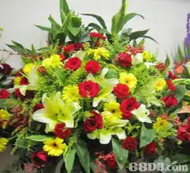 meilamflowershop提供花束系列开幕志庆礼篮系列等服务