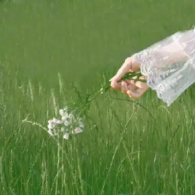 女生绿色头像清新森系2020绿色系小仙女头像