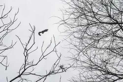 一份风光街头摄影不完全总结,这是我的2017