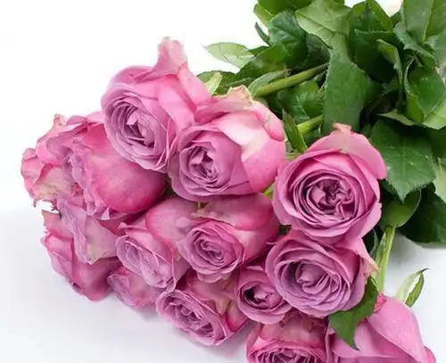 2021年福气旺财运好,能将金银财宝堆满屋的四大生肖