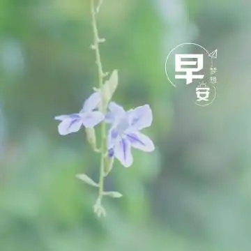 早安日系小清新迷人风光