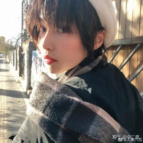 爱情公寓5诸葛大力的扮演者成果会火吗