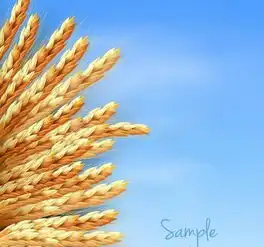 蓝天白云麦穗图片矢量图免费下载eps格式编号13203763千图网