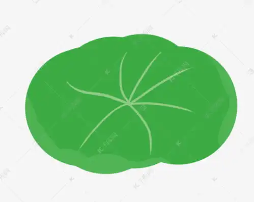 一片荷叶卡通