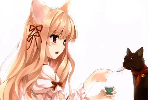 二次元美图壁纸兽耳娘福利篇外加封面