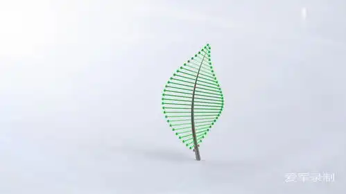 solidworks爱军教程sw实战营用随形变化功能绘制一片树叶,有难度