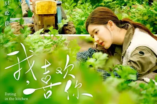 四部小甜剧将播,罗云熙白鹿cp感十足,赵露思搭档禁欲系男神