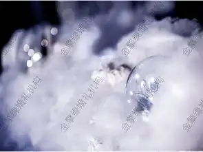 唯美白色系婚礼真爱一生主题婚礼