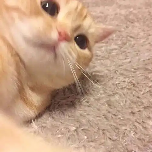 分享一波猛男必看图,没有人能拒绝得了
